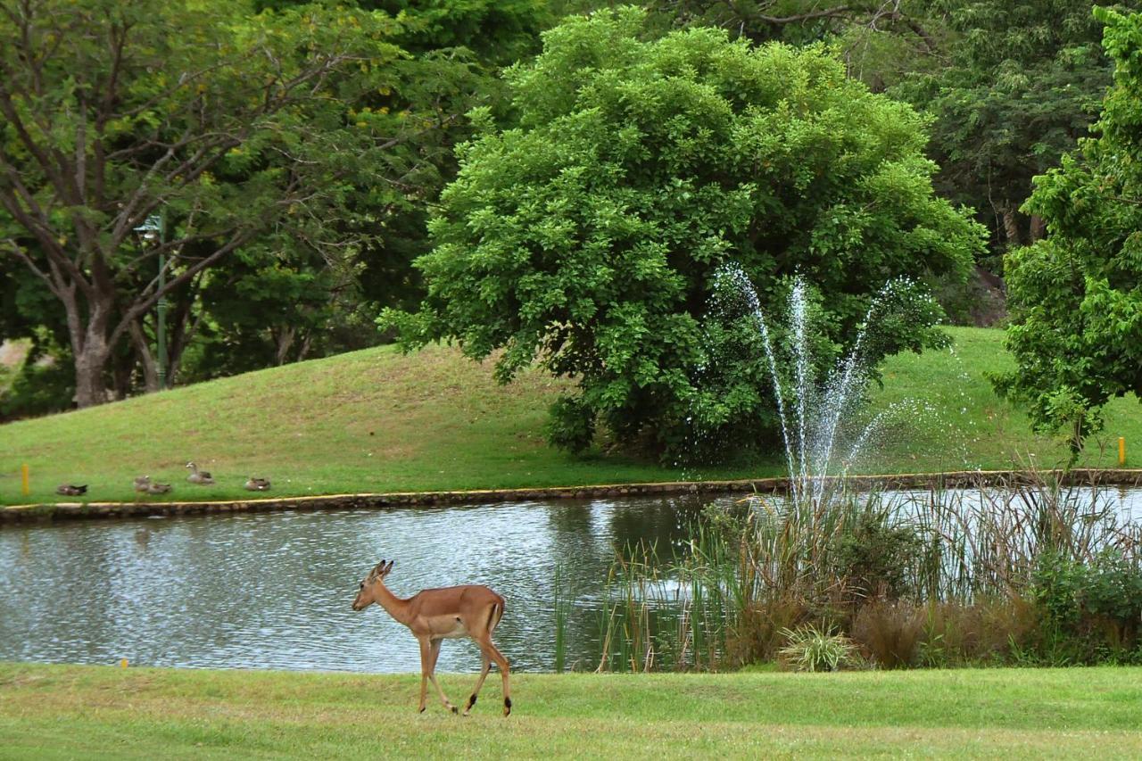 Kruger Park Lodge Unit No. 608A Hazyview Dış mekan fotoğraf